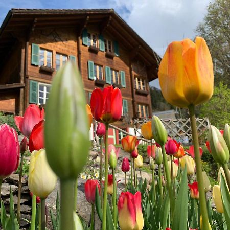 Chalet Schiltwald Innerwengen Exterior photo