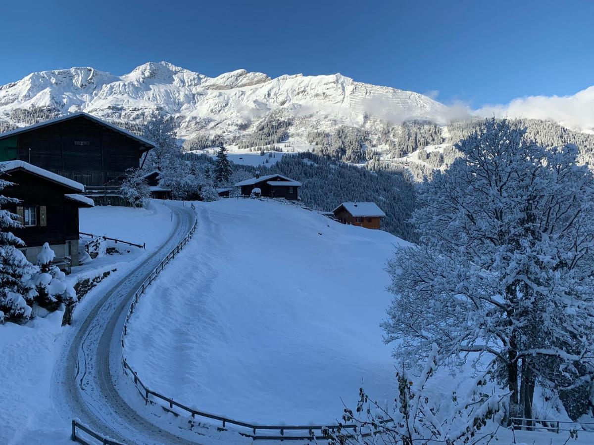 Chalet Schiltwald Innerwengen Exterior photo